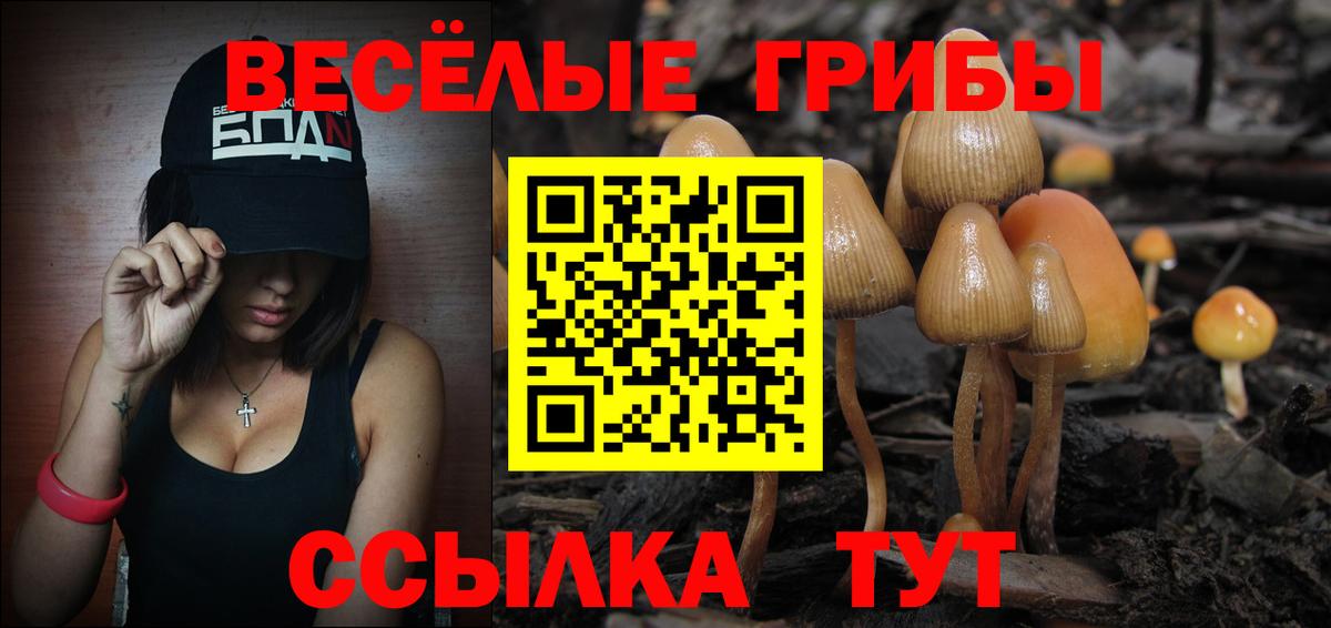 Псилоцибиновые грибы прущие грибы Рузаевка